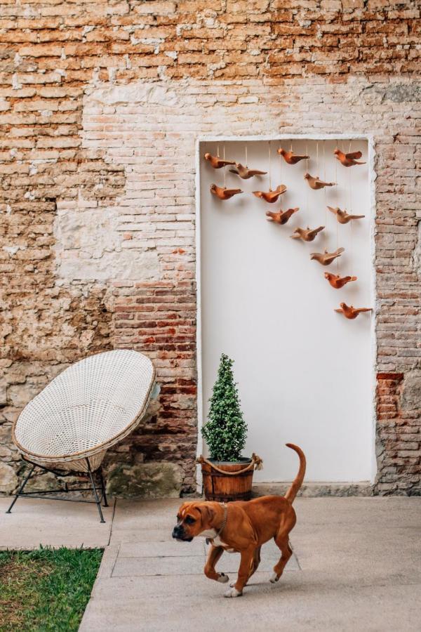 Hotel Tabaa Oaxaca Ngoại thất bức ảnh